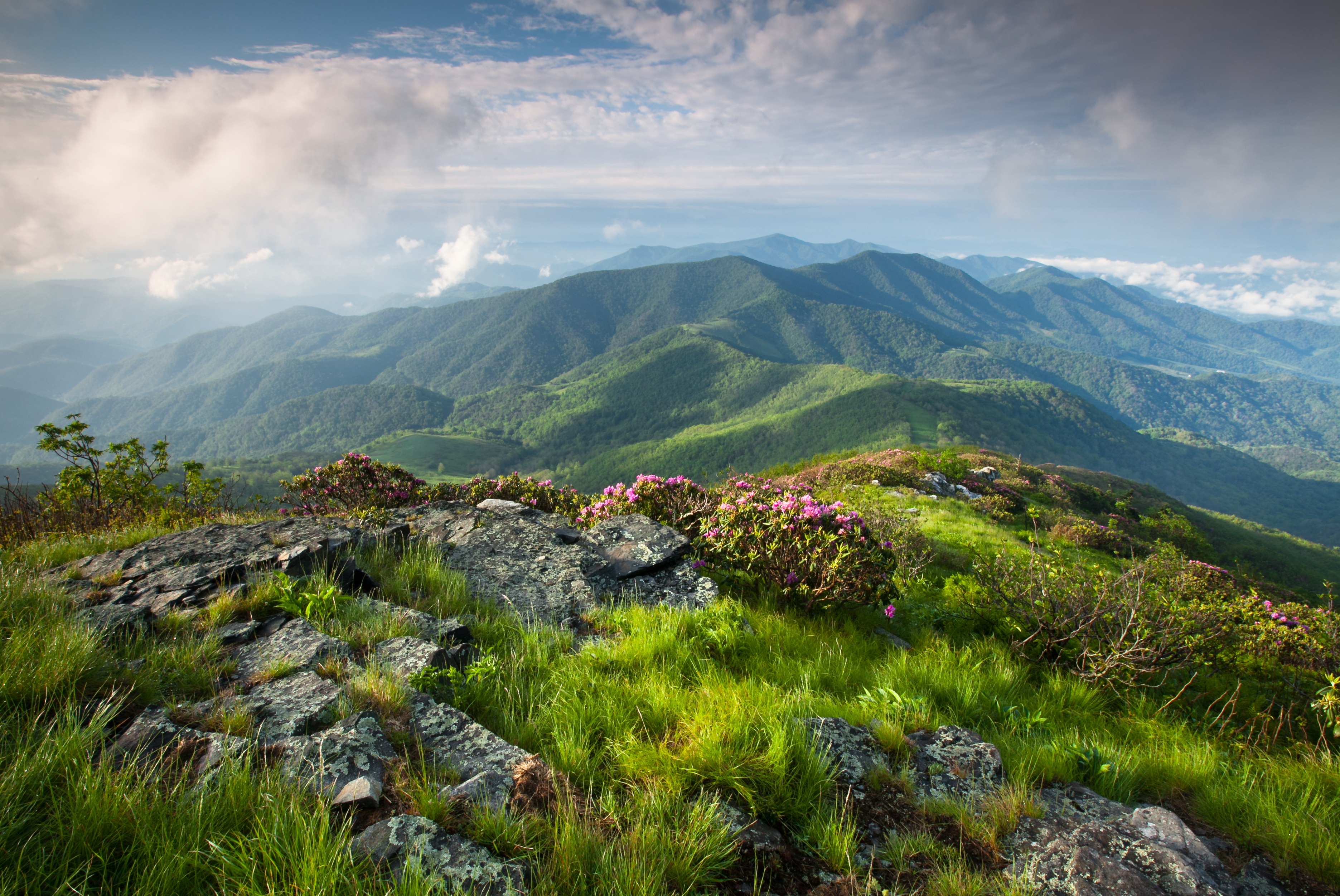 Blue Ridge Mountain landscape in North Carolina | Source: Shutterstock