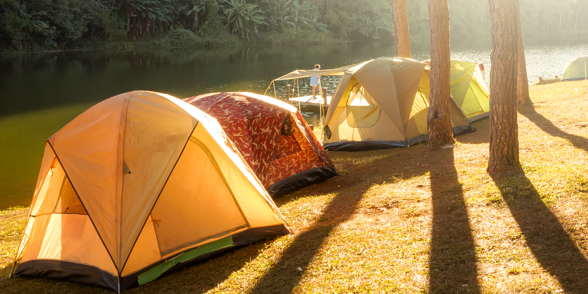 Tents pitched under trees | Source: Shutterstock
