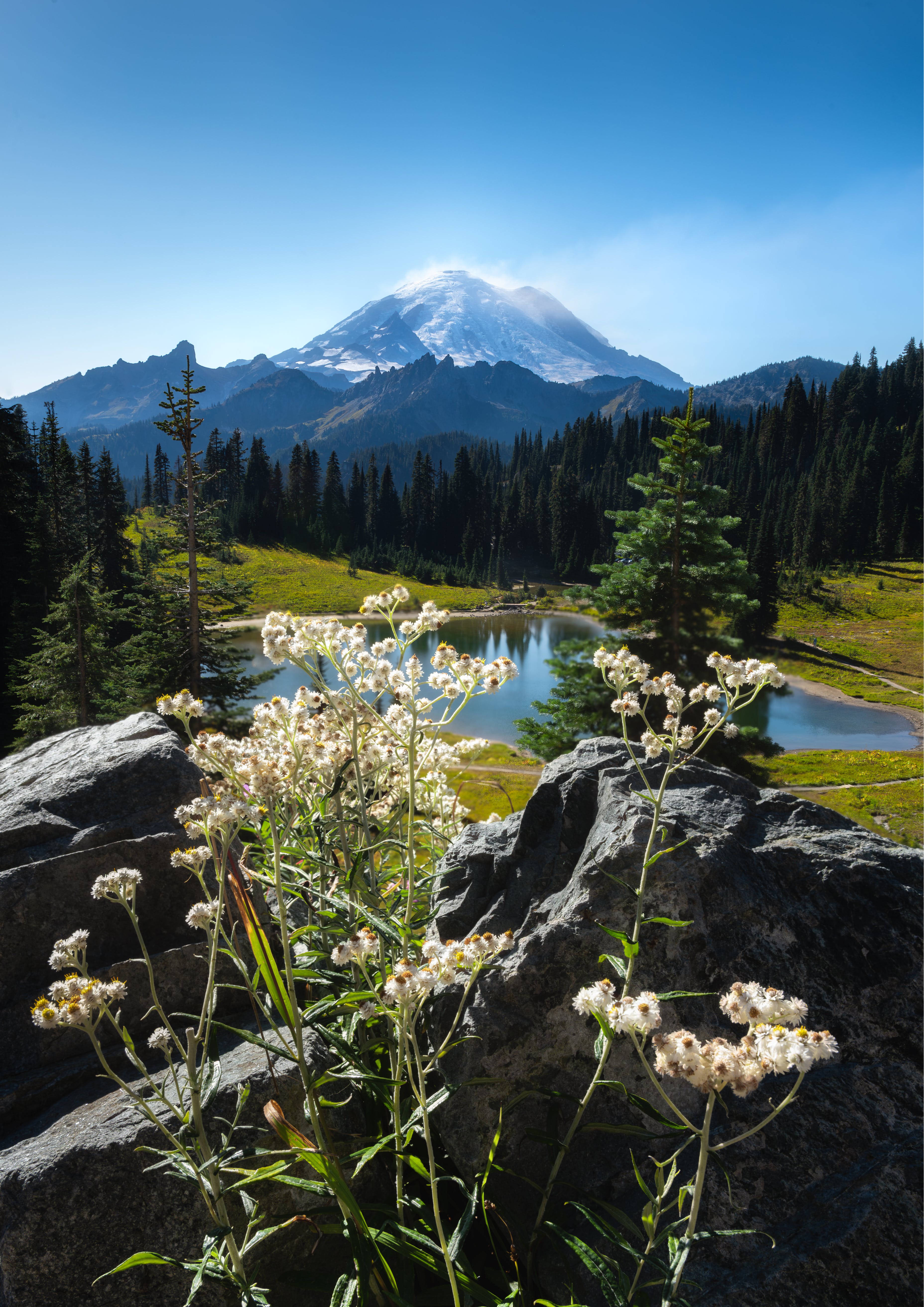 The breathtaking natural scenery in Washington State | Source: Pexels