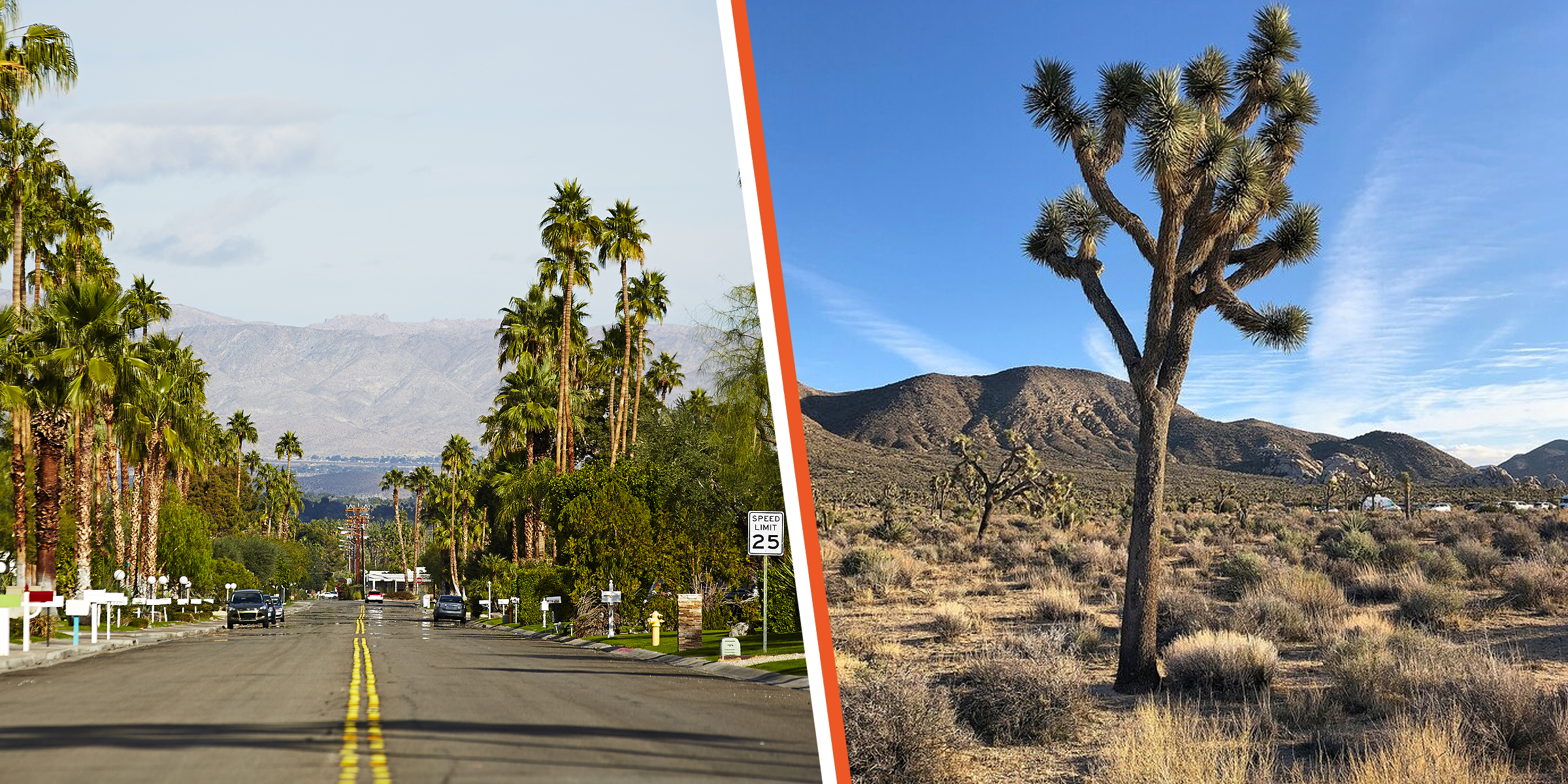 Palm Springs | Joshua Tree National Park | Source: Getty Images